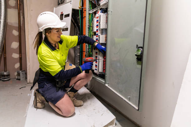 Best Electric Panel Repair  in The Galena Territory, IL
